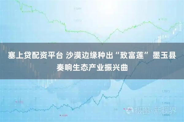 塞上贷配资平台 沙漠边缘种出“致富莲” 墨玉县奏响生态产业振兴曲