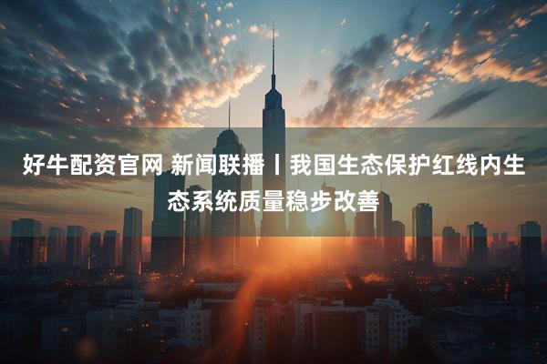好牛配资官网 新闻联播丨我国生态保护红线内生态系统质量稳步改善