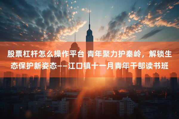 股票杠杆怎么操作平台 青年聚力护秦岭，解锁生态保护新姿态——江口镇十一月青年干部读书班